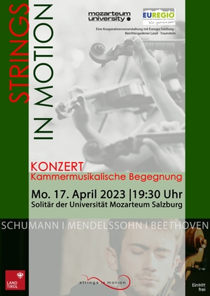 Strings in motion - Plakat Quelle: Marinus Kreidt